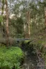 1/88 Blackburn Road, Blackburn, Vic 3130-Image