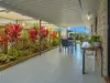 1 Abbey Court, Kawungan, Qld 4655-Image