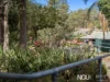 1 Beaumaris Street, Bellbird Park, Qld 4300-Image