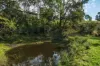 1 Bindaree Road, Lochiel, NSW 2549-Image