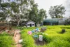 1 Buxton Avenue, Murray Bridge, SA 5253-Image