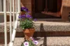 1 Camm Street, Holder, ACT 2611-Image