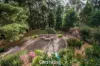 1 Christian Grove, Kallista, Vic 3791-Image