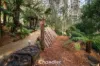 1 Christian Grove, Kallista, Vic 3791-Image