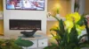 1 Cobalt Way, Medowie, NSW 2318-Image