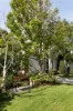 1 Cowper Street, Sandringham, Vic 3191-Image