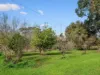 1 Cox Street, Branxholme, Vic 3302-Image