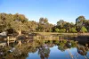 1 Coy Street, Golden Point, Vic 3451-Image