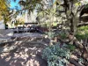 1 Dalgarno Street, Coonabarabran, NSW 2357-Image