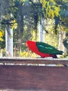 1 Dalgarno Street, Coonabarabran, NSW 2357-Image