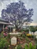 1 David Street, Rockville, Qld 4350-Image