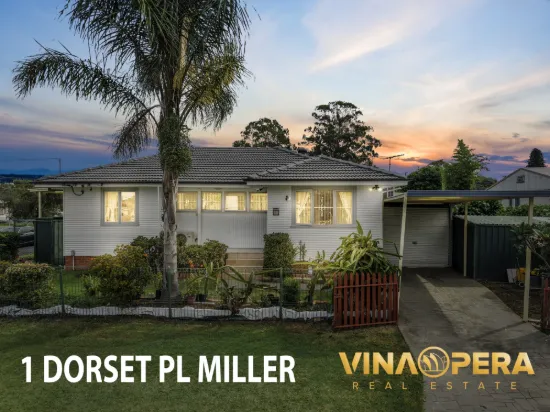 1 Dorset Place, Miller, NSW 2168