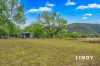 1 Doyles Creek Road, Singleton, NSW 2330-Image