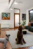 1 Dudley Street, Parkside, SA 5063-Image