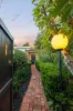1 Dudley Street, Parkside, SA 5063-Image
