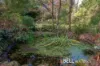 1 Duncans Lane, Ferny Creek, Vic 3786-Image