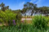 1 East Terrace, Booborowie, SA 5417-Image