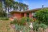1 East Terrace, Booborowie, SA 5417-Image