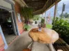 1 Edward Street, Silkwood, Qld 4856-Image