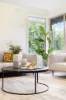1 Fankhauser Drive, Vermont South, Vic 3133-Image