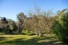 1 Faraday School Road, Faraday, Vic 3451-Image