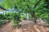 1 Firefly Court, Bakewell, NT 0832-Image