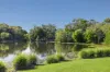 1 Fitzwilliam Drive, Sippy Downs, Qld 4556-Image