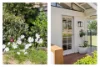 1 Forest Oak Court, Tanawha, Qld 4556-Image