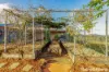 1 Frayne Road, Amamoor, Qld 4570-Image