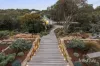 1 Geoffrey Street, Blairgowrie, Vic 3942-Image