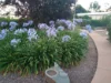 1 George Street, Jamestown, SA 5491-Image