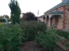 1 George Street, Jamestown, SA 5491-Image