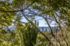 1 Goodwin Road, Newport, NSW 2106-Image