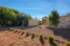 1 Graf Street, Condobolin NSW 2877-Image