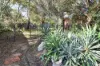 1 Grey Court, Braitling, NT 0870-Image