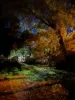 1 Grey Court, Braitling, NT 0870-Image