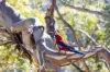1 Happy Jacks Road, Eucumbene, NSW 2628-Image