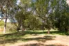 1 Harding Street, Watson, ACT 2602-Image