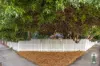 1 Holmes Place, Hilton, WA 6163-Image