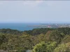 1 Jackson Street, Mount Martha, Vic 3934-Image