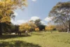 1 Jane Place, Dural, NSW 2158-Image