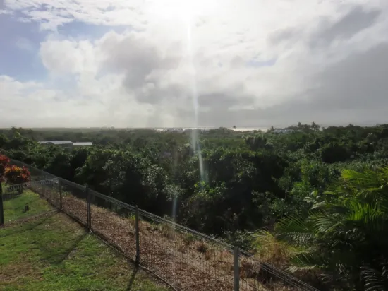 1 Jarman Street, Barlows Hill, Qld 4703-Image