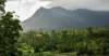 1 Josephine Falls Road, Bartle Frere, Qld 4861-Image