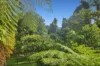 1 Josephine Falls Road, Bartle Frere, Qld 4861-Image