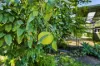 1 Karrul Way, Greenfields, WA 6210-Image