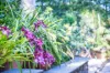 1 Kiamala Crescent, Killara, NSW 2071-Image