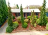 1 Kookaburra Walk, South Morang, Vic 3752-Image