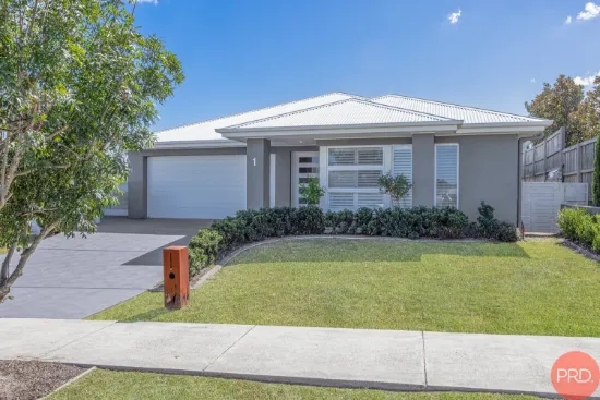 1 Lagoon Avenue, Bolwarra, NSW 2320