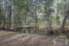 1 Laurette Drive, Glenore Grove, Qld 4342-Image