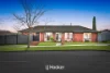 1 Lighthorse Crescent, Narre Warren South, Vic 3805